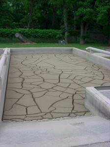 SS Bed Dry